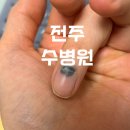 전주문병원 | [전주/수병원] 손가락 현관 문 끼임, 손톱 멍 피 뺀 후기