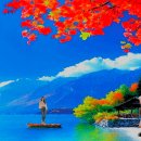 ◈사랑차나 한잔 했으면 -淸思 林 大植-◈ 이미지
