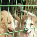 주식회사 여수 이미지