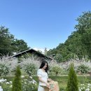 [경북/성주] 아름다운 영국 정원 같은 독특한 카페 리베볼 후기 / 5월의 리베볼