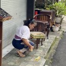 아침풍경 이미지