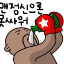 엠스타 복싱 클럽 이미지