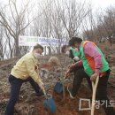 노온다목적운동장 이미지