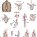 이로동물의료센터 이미지