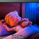 (유)제이비투어인터네셔널 | 달과 입을 맞춰 두 눈에 감으면