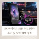 테라PC | SK 하이닉스 SSD P41 2테라 후기 및 할인 혜택 정리
