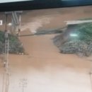 삼광사료 이미지