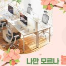 코아스 이미지