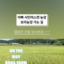 새인농장 네이버블로그