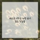 청산이야기 이미지