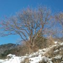 번암무룡고개로 이미지