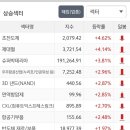 마티 인터내셔널 이미지