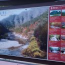 경미용소 - 달서구 | 경미용소