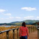 서천경희한의원 이미지