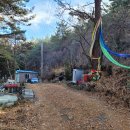 시도 17호선 소나무 이미지