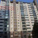 분당-227 이미지