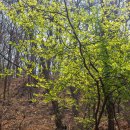 구릉산자락길 이미지