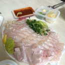 광어생각 | 가락시장 단골 광양수산 광어 활어회 내돈내산 후기