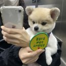 동인메디