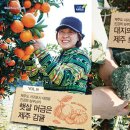 제주 아모제 이미지