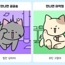 냥신사 이미지
