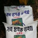 규석농장 이미지