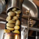 커피꽃향기 이미지