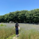 예산목장 이미지