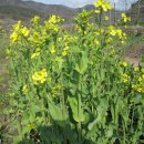 천일농장 이미지