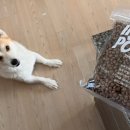 인섹트 파워 이미지