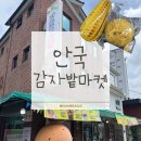 마켓윤 | 안국 맛집 추천 | 감자밭 마켓 후기(내돈내산 춘천 감자빵·치즈감자빵·옥수수빵·안국 감자밭 팝업...