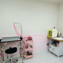 참좋은애견미용실 이미지