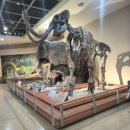 한국사 | [공지] 서대문자연사박물관 EBS 한국사탐방 후기｜초등 체험학습으로 다녀온 솔직후기