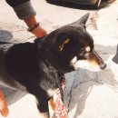 차담정2 이미지