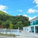 캠프 뽀미에 이미지