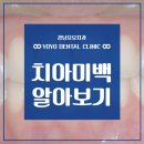 강남요요치과 네이버블로그
