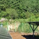 대명중기 이미지