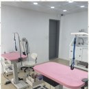 벨몽드펫 | 가위컷 용전동 강아지 미용실, 편안함을 경험하다