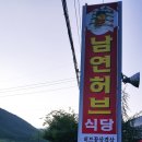 남연허브 이미지