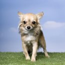 웰빙동물병원 이미지