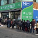 고령축산물판매장 이미지