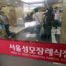 강남성모 이미지