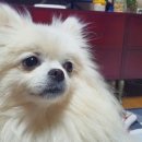 선리치골프클럽 이미지