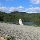 호수공원주유소 이미지