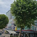 광장약국 이미지