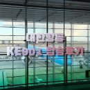 901 | 대한항공 파리행 KE901 이코노미 후기 와이파이 기내식