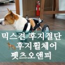오앤피 이미지