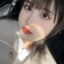 꼬리흔들 유치원 이미지