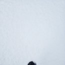 산타스토어