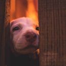 타로카드상담 이미지